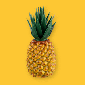 Ananas Shaker